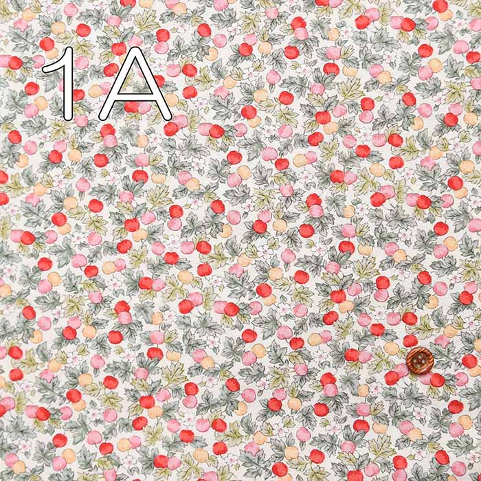 Cotton Sharting Printed Fabric - fruit - Image 4