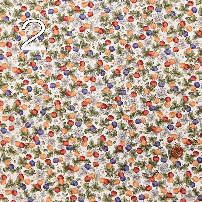 Cotton Sharting Printed Fabric - fruit - Image 5