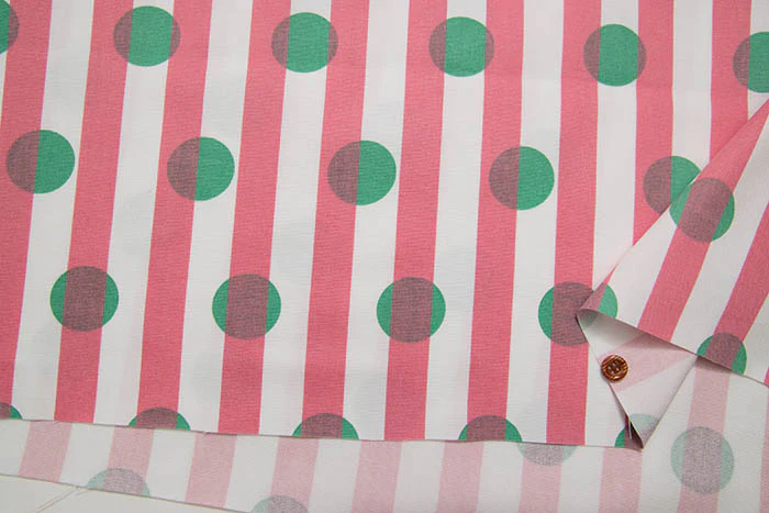 Cotton Oxford Printed Fabric - Dot Stripe - Image 3