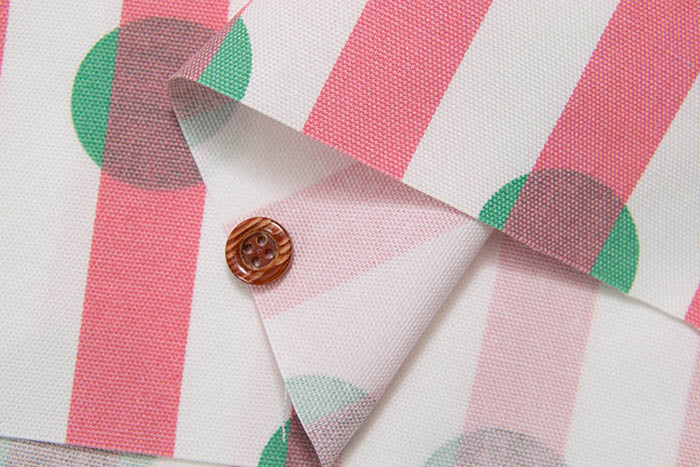 Cotton Oxford Printed Fabric - Dot Stripe - Image 4